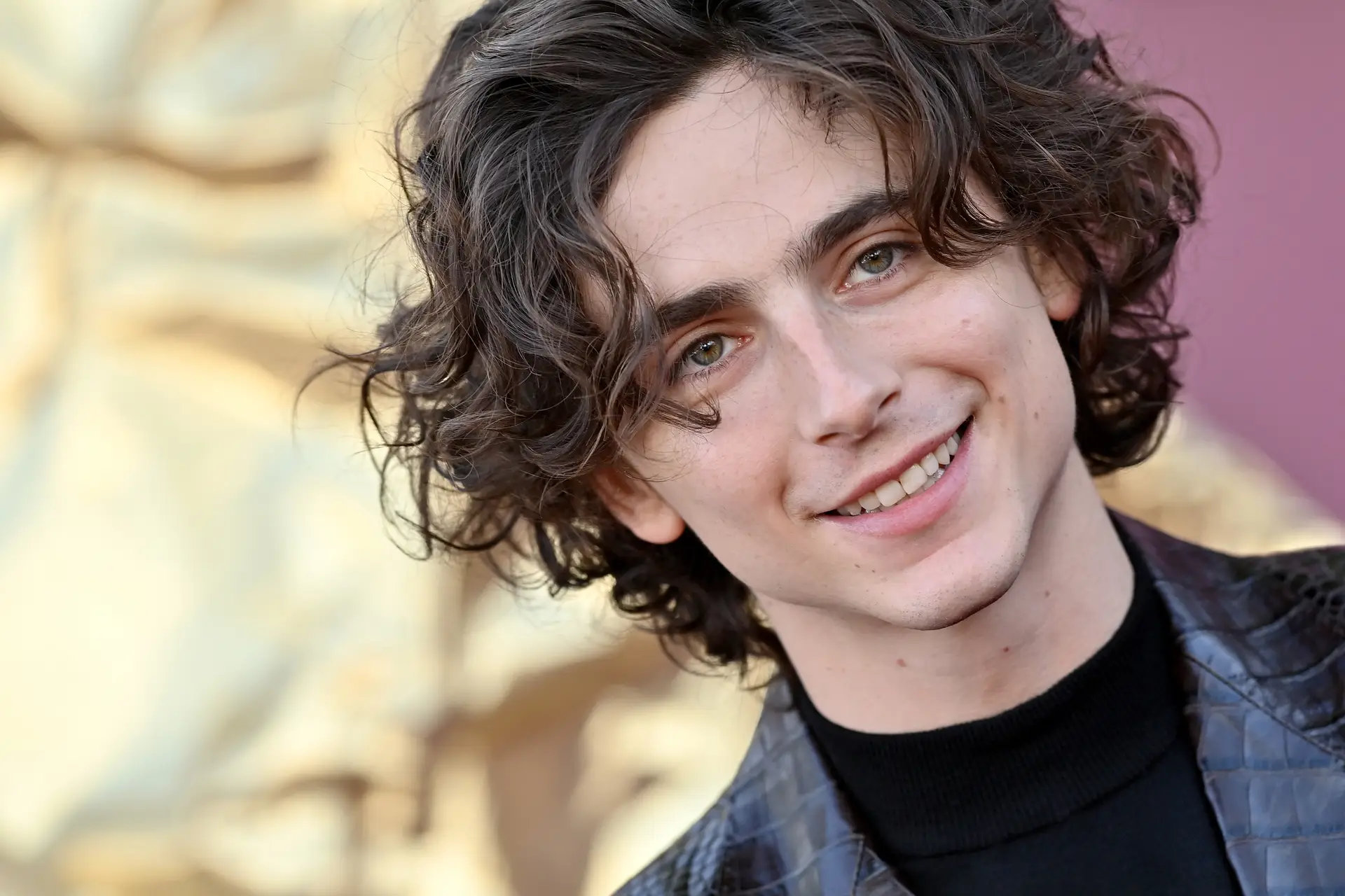 Timothée Chalamet, et si tu n’arrivais jamais à le cerner ? Timothée Chalamet, et si tu n’arrivais jamais à le cerner ?